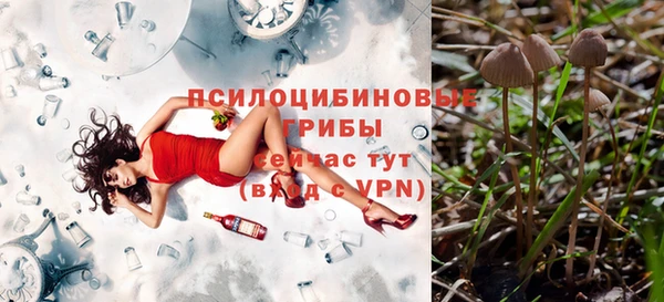 гидропоника Карталы