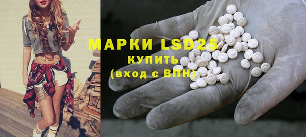 индика Алзамай
