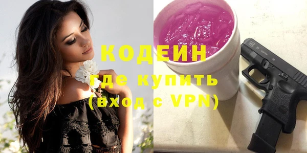 индика Алзамай