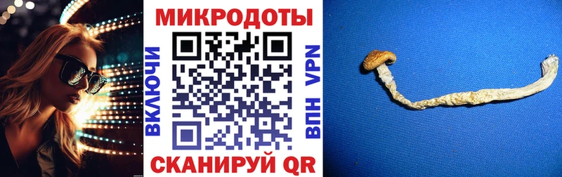 даркнет сайт Бийск мега сайт Псилоцибиновые грибы Psilocybe