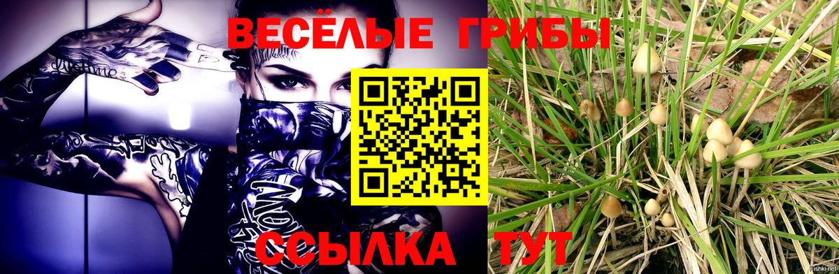 Бийск  Псилоцибиновые грибы Magic Shrooms  Вход с VPN 
